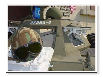  another ferret picture 