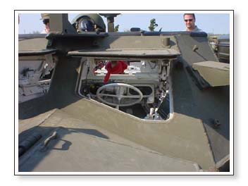  here's the ferret again 