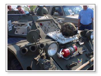  another picture of the ferret 