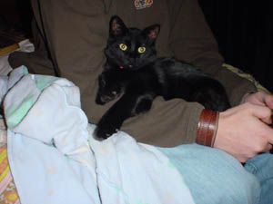  Felix looking to see what I'm doing.. 